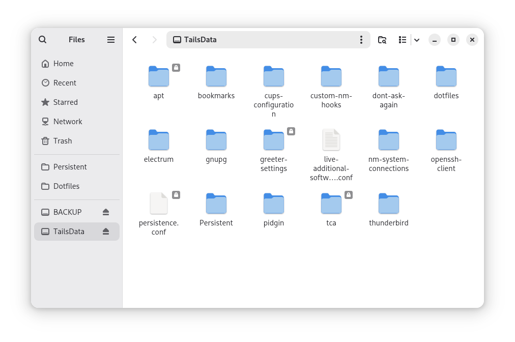 Backup and TailsData Mounted