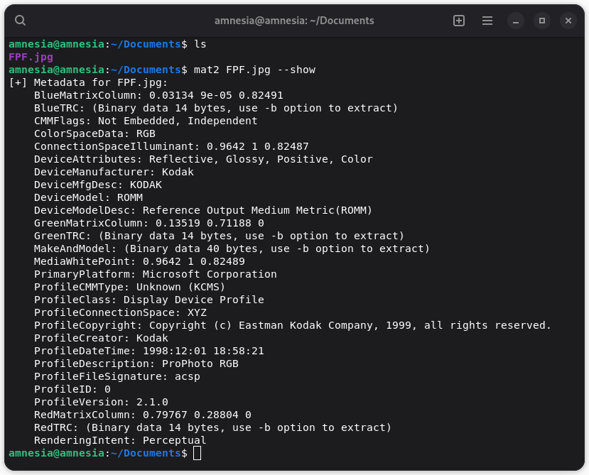 Terminal application displaying the metadata of a file.