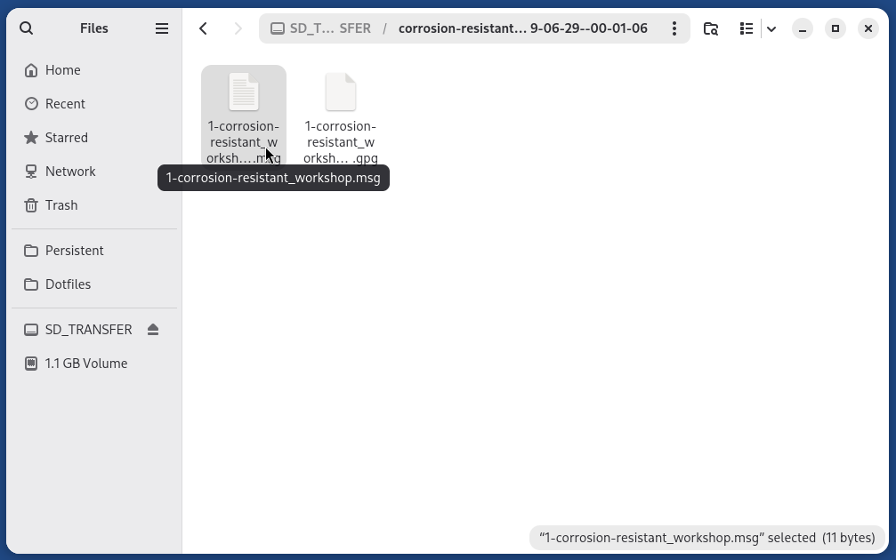 Files application displaying a decrypted file next to its encrypted version.